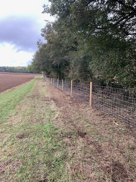 Fencing - Castor Hanglands, A National Nature Reserve