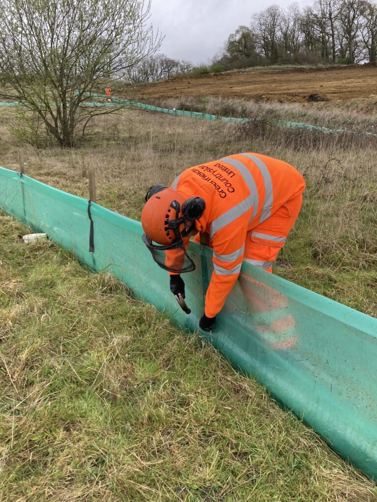 apprentice fixing newt fencing