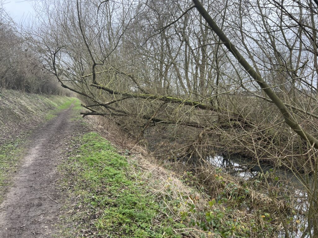 Grantham Canal - Maintenance Day (Part 1)