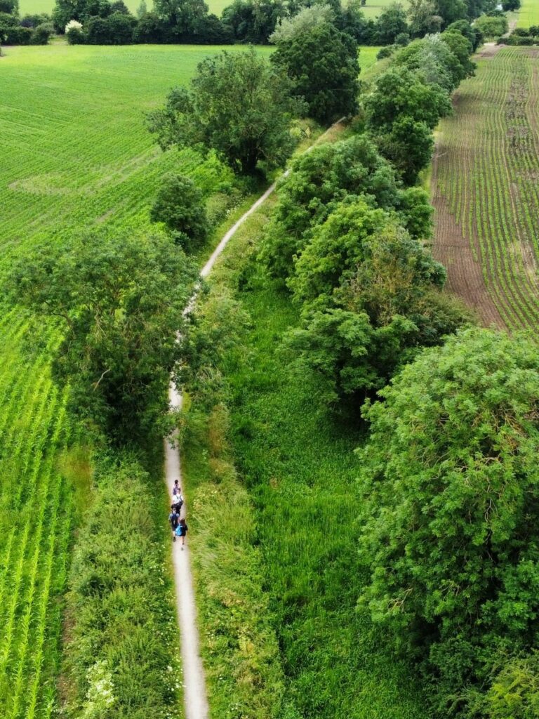 Birds Eye View