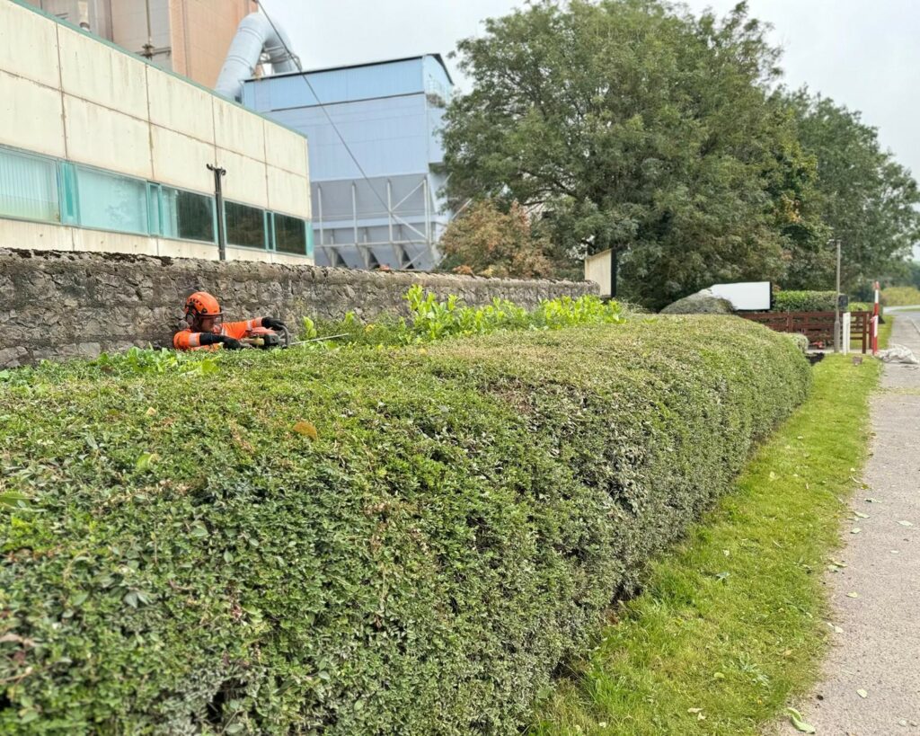 Quarry Entrance Maintenance 8