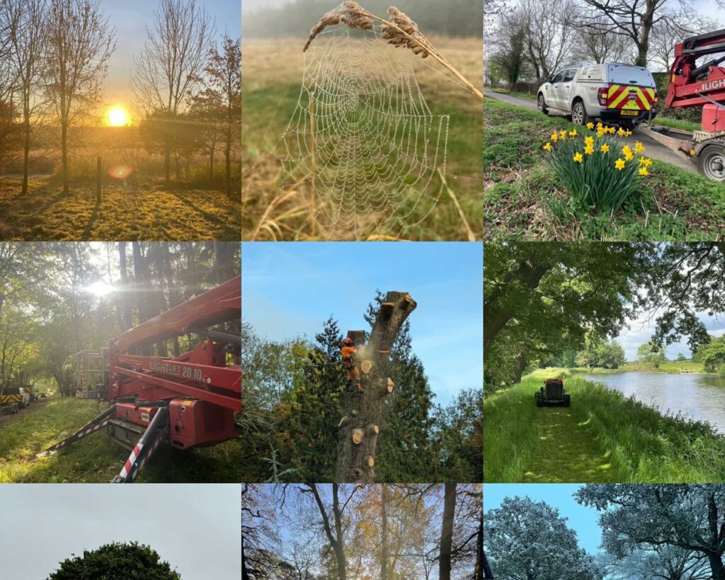 Best of 2024: A Year in Pictures