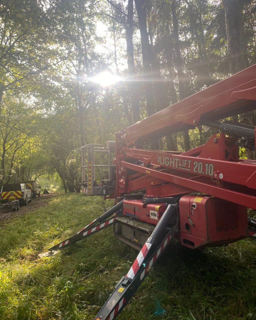 Mewp Reducing Woodland Mangement