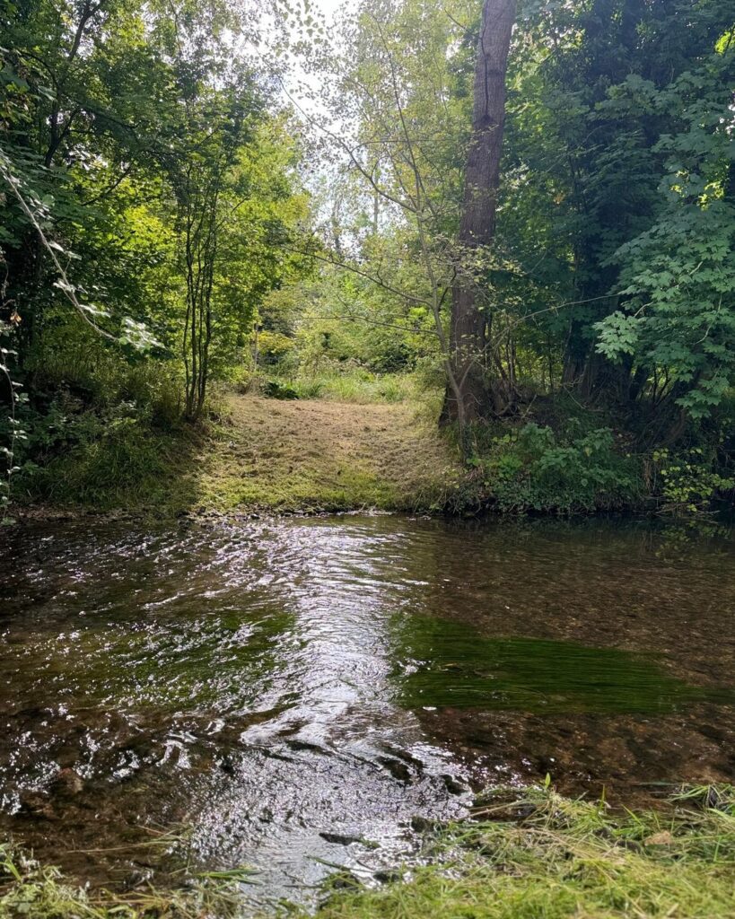 Woodland Ride Stream
