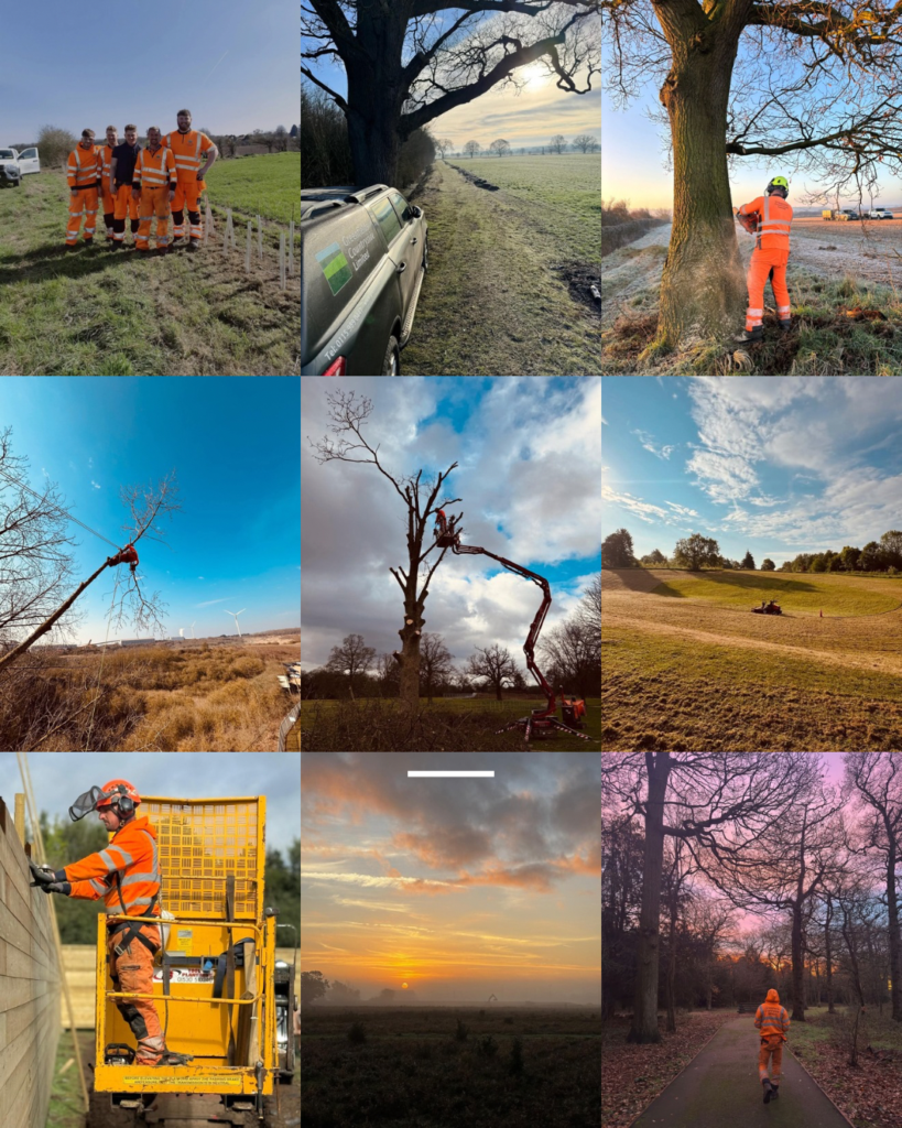 Best of 2025: Highlights of the Year