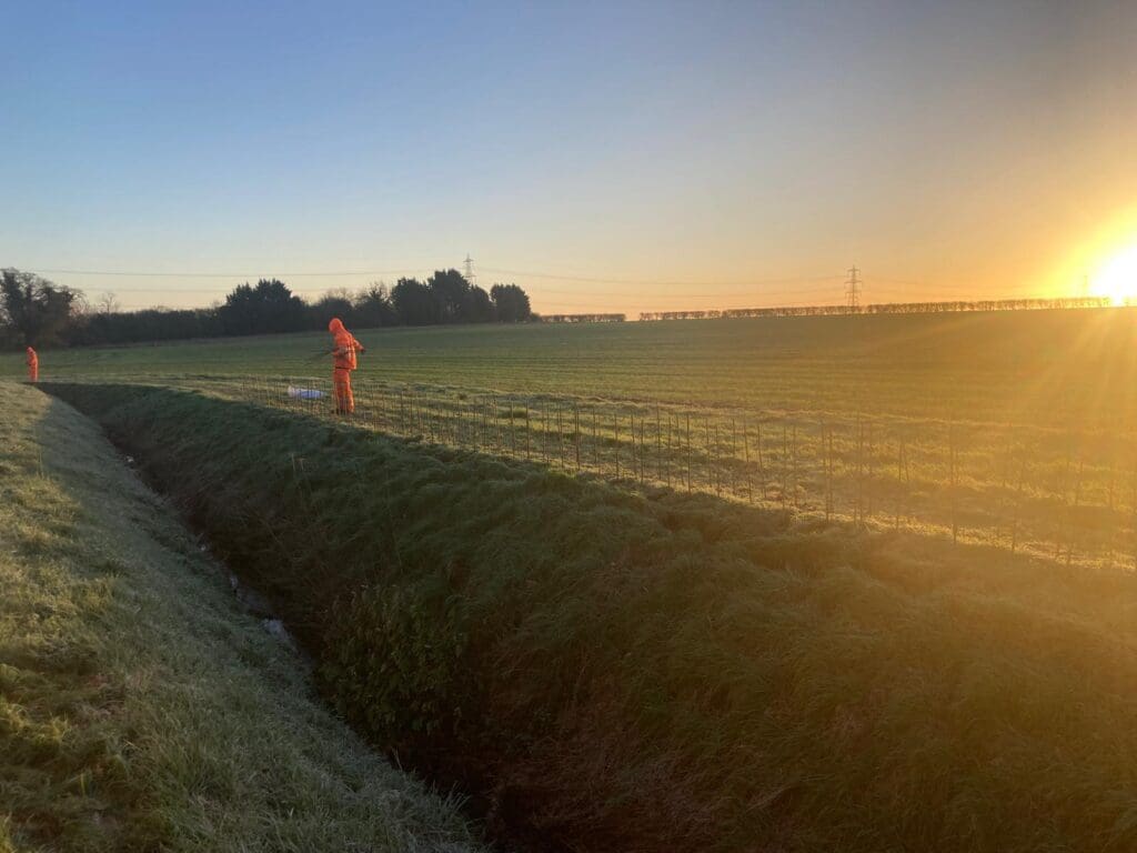 Planting - A Year in Review